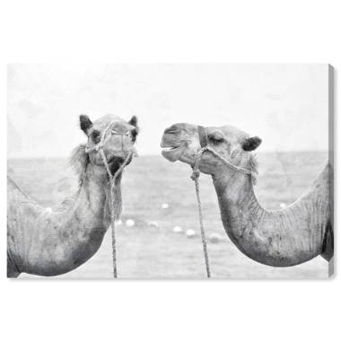 Union Rustic Animals Camel Best Friends Desert Landscapes Framed